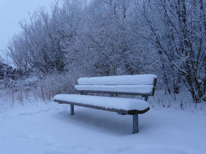 Bank Im Schnee