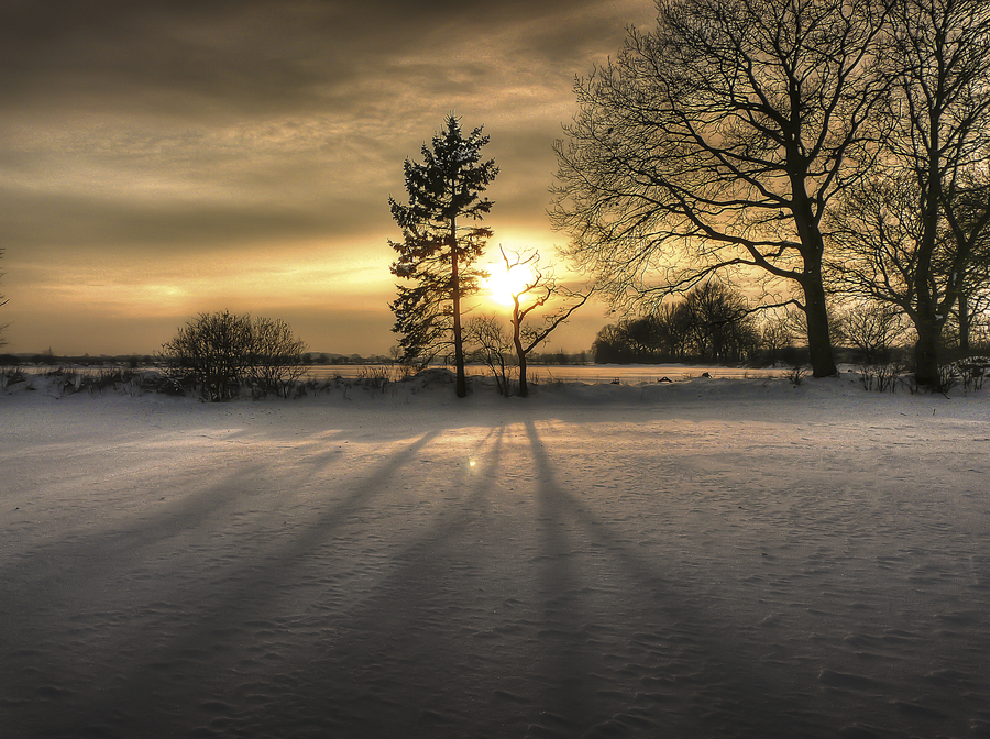 Beeindruckendes Vorher-Nachher-HDR-Bild: Bäume werfen Schatten im Schnee