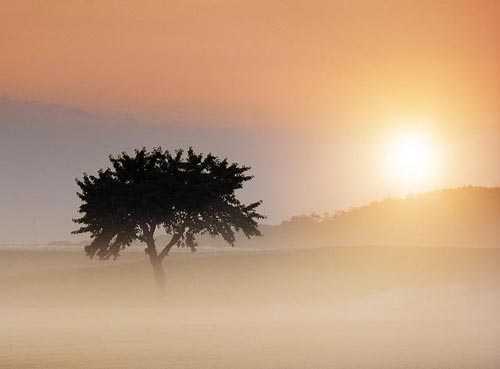 15. Surreales Naturfoto | Dusty Sunset