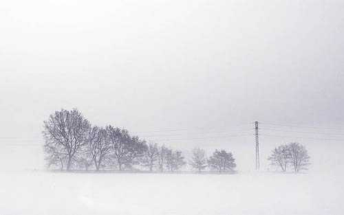 20. Surreales Naturfoto | Snow-covered landscape