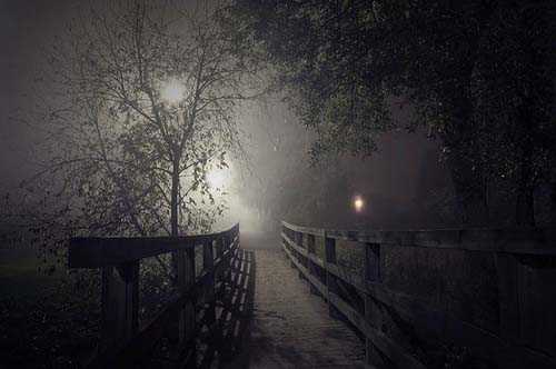 38. Surreale Natur-Fotos | Night Bridge